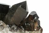 Dark Smoky Quartz Crystals - Brazil #80177-3